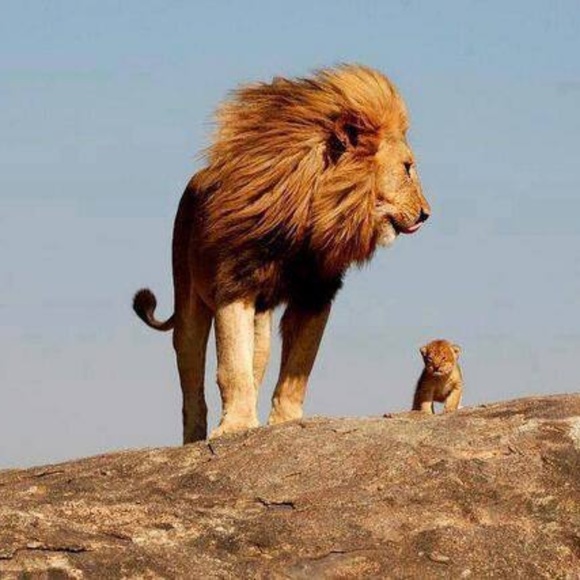 Meet your Posher, Halsted - Picture 1 of 1